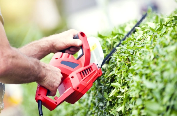 40 {lang_Kateqoriya}