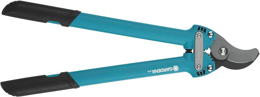 Budaq qayçısı Gardena