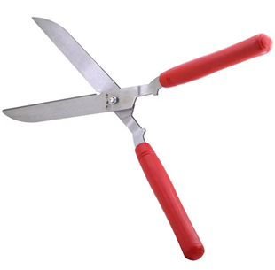 Formaverən qırmızı Türkiyə